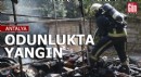 Antalya'da odunlukta yangın