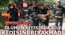 Antalya'da ölümün kıyısında bile kedisini bırakmadı