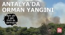 Antalya'da orman yangını