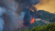 Antalya'da orman yangını