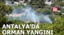 Antalya'da orman yangını