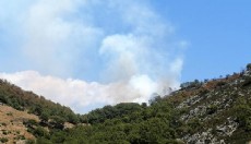 Antalya'da orman yangını