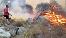 Antalya'da orman yangını