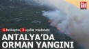 Antalya'da orman yangını: 6 helikopter, 3 uçakla müdahale