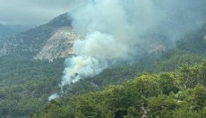 Antalya'da orman yangını büyümeden söndürüldü