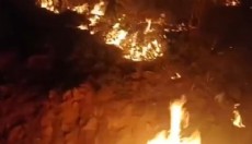 Antalya'da orman yangını büyümeden söndürüldü