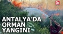 Antalya'da orman yangını kontrol altında