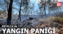 Antalya'da orman yangını paniği