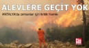Antalya'da ormanlar için kritik hamle