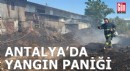 Antalya'da ot- çalılık yangını