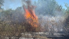Antalya'da ot yangını rüzgarın etkisiyle yayıldı