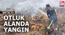 Antalya'da otluk alanda yangın