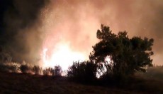 Antalya'da otluk yangını söndürüldü