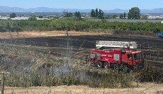 Antalya'da sazlık yangını büyümeden söndürüldü