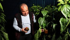 Antalya'da seralar cep telefonları ile izleniyor