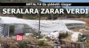 Antalya'da şiddetli rüzgar seralara zarar verdi