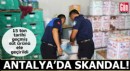 Antalya'da skandal! 15 ton tarihi geçmiş süt ürünü ele geçirildi