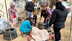 Antalya'da su dolu çukura düşen Fatmagül'ü elektrikli sobayla ısıttılar