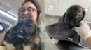 Antalya'da su kanalında mahsur kalan 2 köpek kurtarıldı