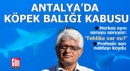 Antalya'da tatilcilerden profesöre 'köpek balığı' sorusu