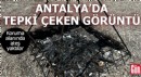Antalya'da tepki çeken görüntü