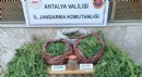 Antalya'da uyuşturucu operasyonu