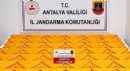 Antalya'da uyuşturucu operasyonu