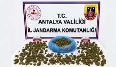 Antalya'da uyuşturucu operasyonunda 745 gram esrar ele geçirildi