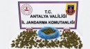 Antalya'da uyuşturucu operasyonunda 745 gram esrar ele geçirildi