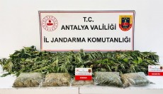 Antalya'da uyuşturucuya 1 gözaltı