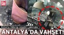 Antalya'da vahşet! Kübra'yı öldürüp cesedini yakmışlar