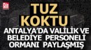 Antalya'da valilik ve belediye personeli elele vermiş ormanı paylaşmış