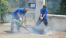 Antalya'da vektörel mücadele 4 koldan yürütülüyor
