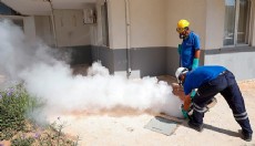 Antalya'da vektörle mücadele hız kesmiyor