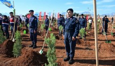Antalya'da yeşil vatan seferberliği