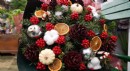 Antalya'da yılbaşı çiçeği kokina fiyatları ne kadar?