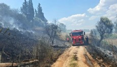 Antalya'da yol kenarında başlayan yangın söndürüldü