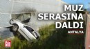 Antalya'da yoldan çıkan otomobil muz serasına daldı
