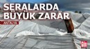 Antalya'da zarar gören seralarda hasar tespiti