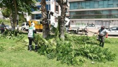 Antalya'daki ‘metruk’ tehlikeye ince temizlik