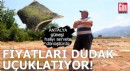 Antalya güneşi halıyı servete dönüştürdü