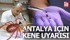 Antalya için kene uyarısı yapıldı