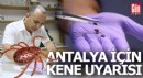 Antalya için kene uyarısı yapıldı