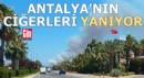 Antalya'nın ciğerleri yanıyor
