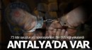 Antalya'nın da aralarında bulunduğu 73 ilde operasyon; 1695 gözaltı
