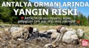 Antalya ormanlarında yangın riski