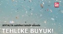 Antalya sahilleri tehdit altında!
