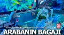 Arabanın bagajına şelale ve akvaryum yaptı