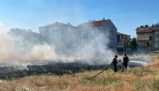Arazi yangınlarında 19 dekar zarar gördü