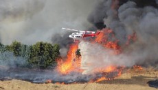 Avustralya'da orman yangınları devam ediyor